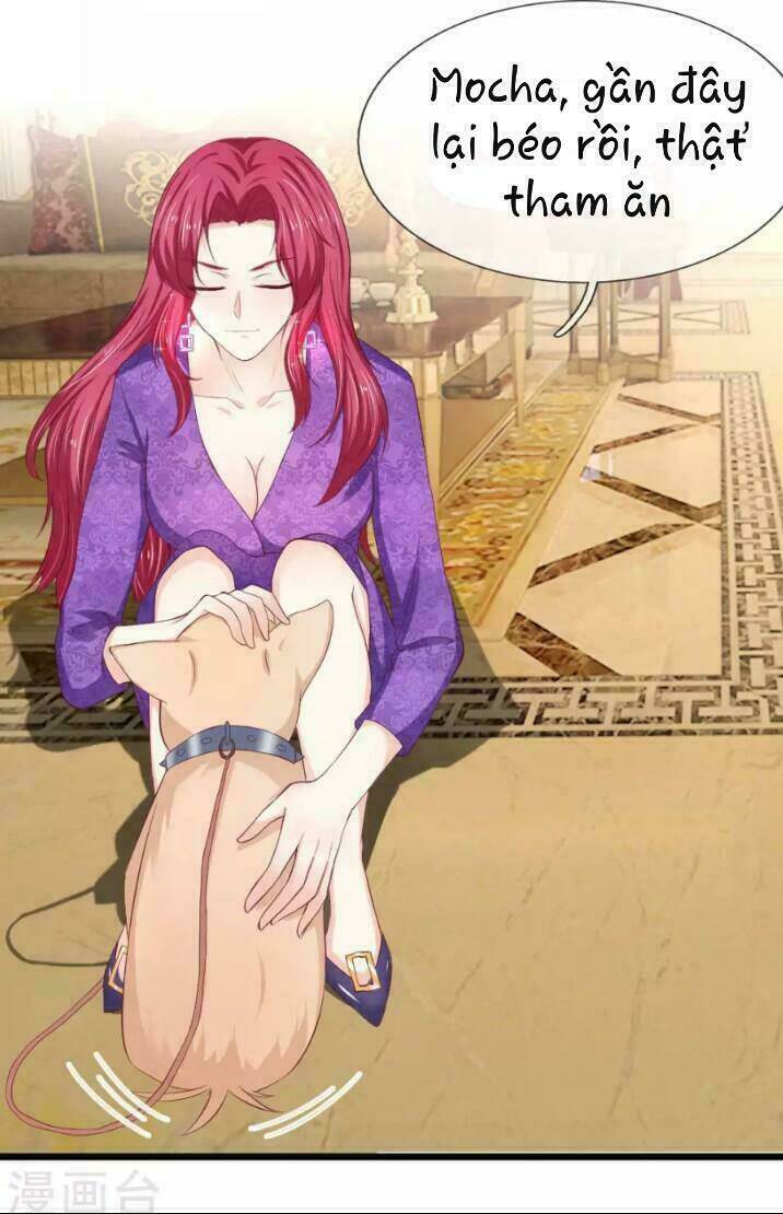 từ chối kết hôn với đại gia: cô dâu bỏ trốn chapter 47 17