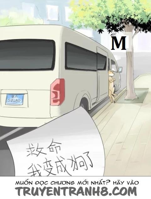 một con chó chapter 2 11