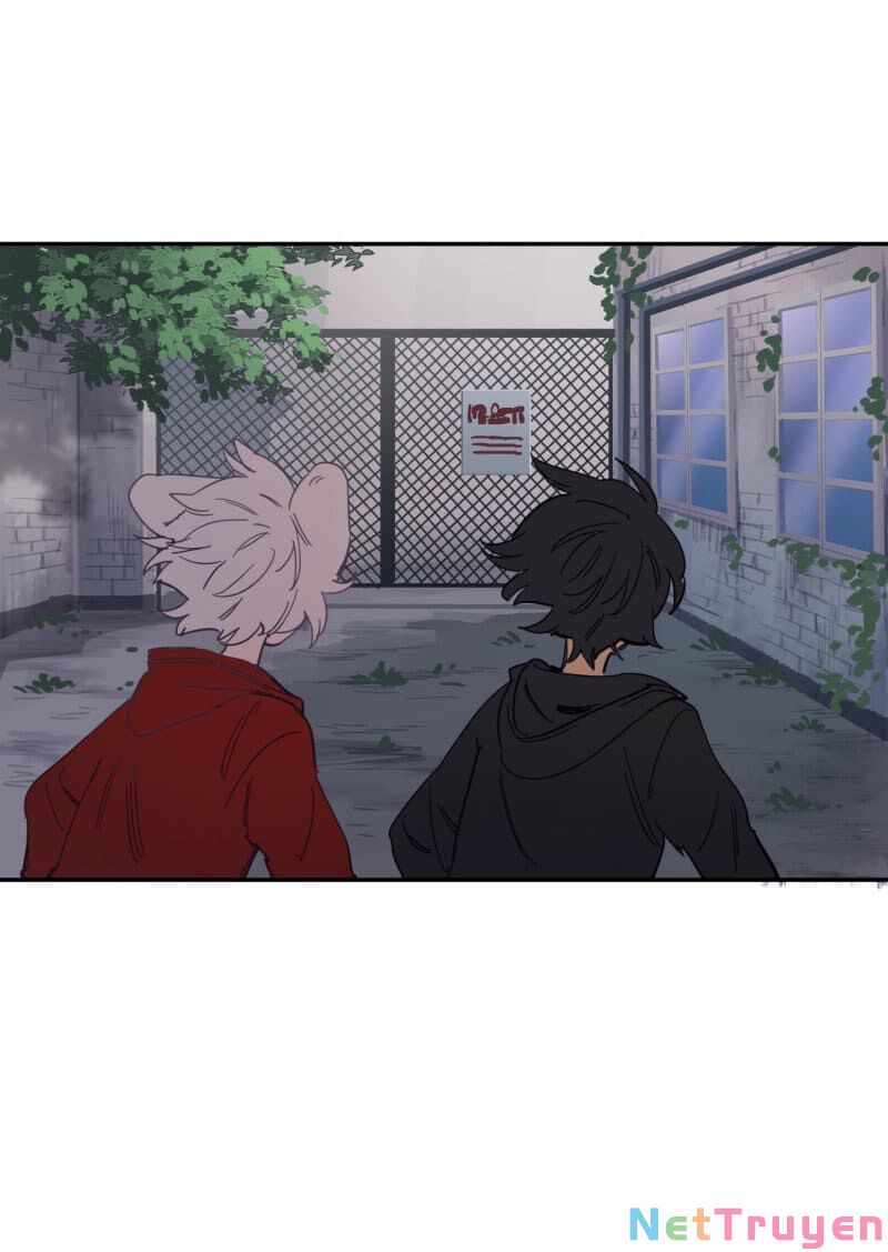 lumine - cội nguồn ánh sáng chapter 77 27