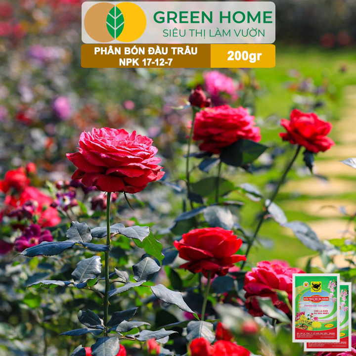 Phân NPK 17-12-7 Greenhome, Đầu Trâu, Bao 200Gr, Chồi Lá Khỏe - Ra Hoa Nhiều, Chuyên Hoa Và Cây Cảnh