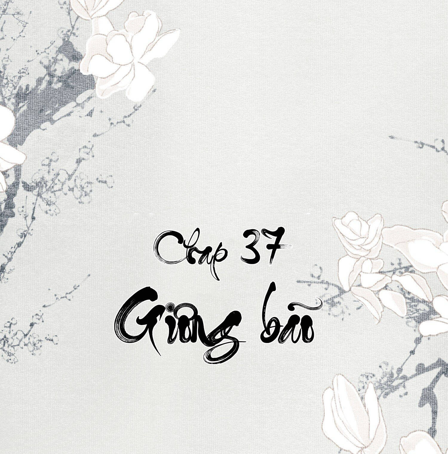 không cẩn thận cứu phải kẻ thù của giang hồ chapter 37 2