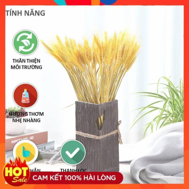 BigSale/ Bó Hoa Bông Lúa Mạch Khô Decor Trang Trí /LH online