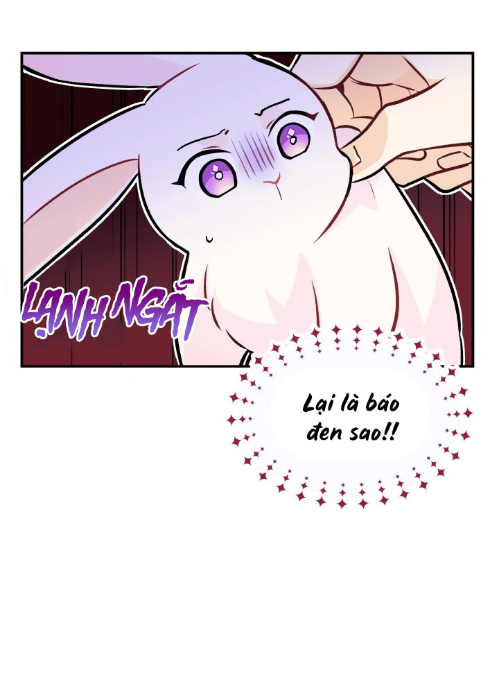 mối liên kết giữa báo đen và bé thỏ chapter 2 20