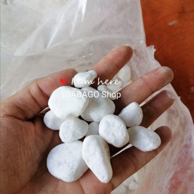 1kg Sỏi đá trắng trang trí vườn, cây, lối đi