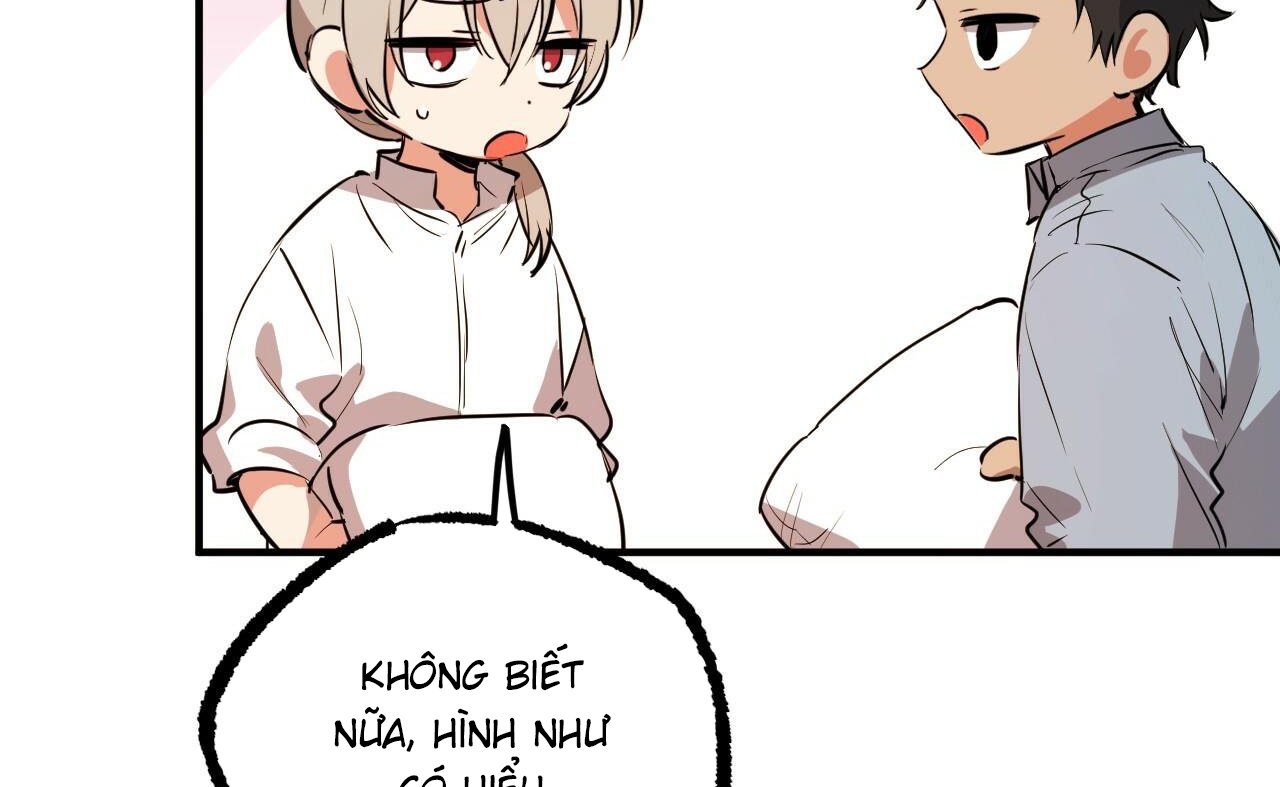 những chú thỏ của hapypy chapter 52 165