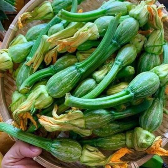 Hạt giống bí siêu nụ lai F1,Bí đậu ăn non-gói 10 hạt-tặng kèm gói phân bón lót