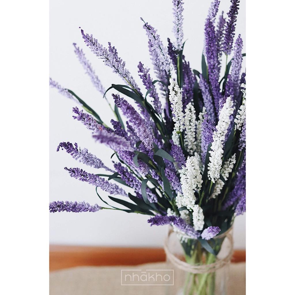 HOA LAVENDER GIẢ