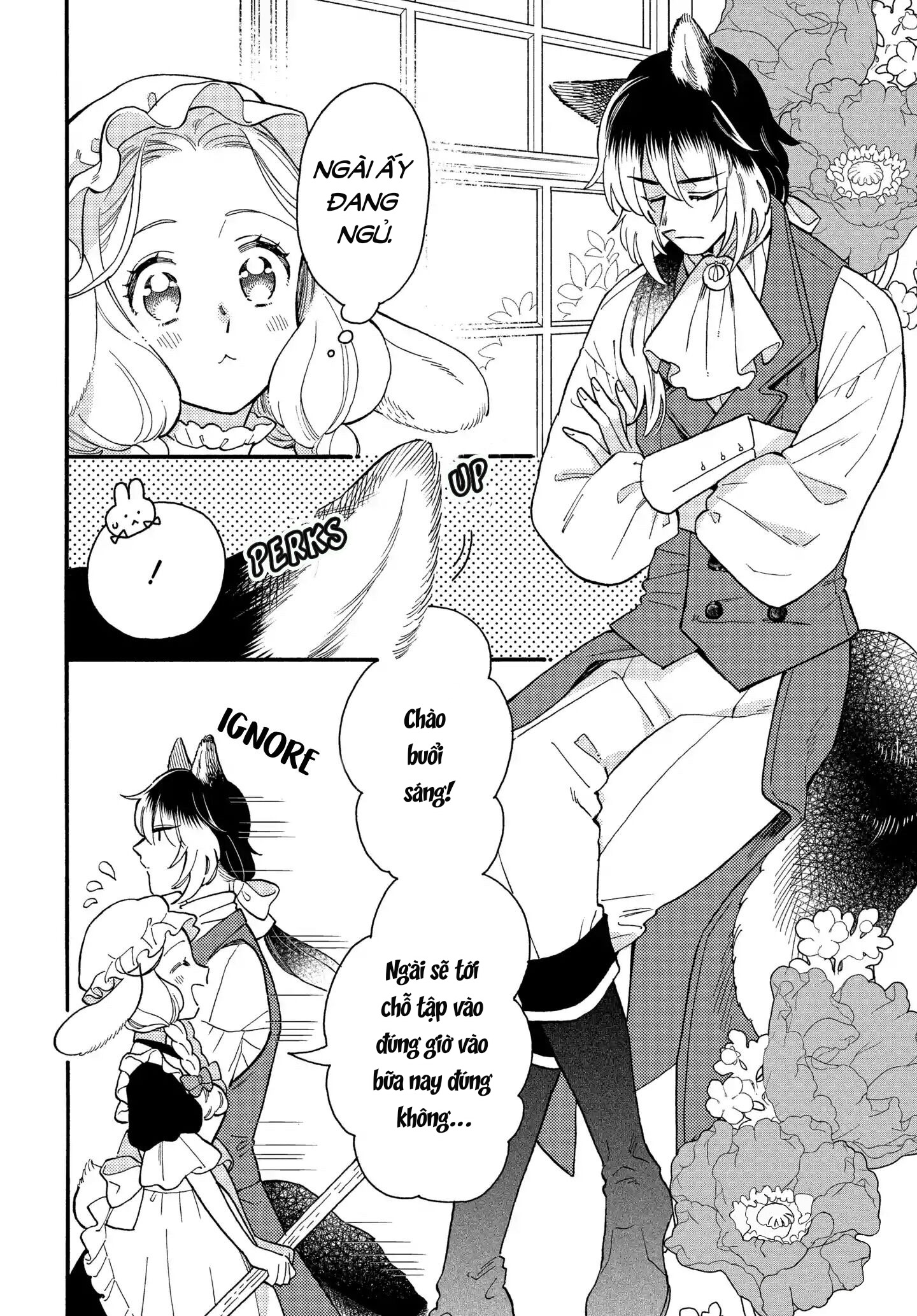 ngài sói và hầu gái thỏ chapter 3.1 7