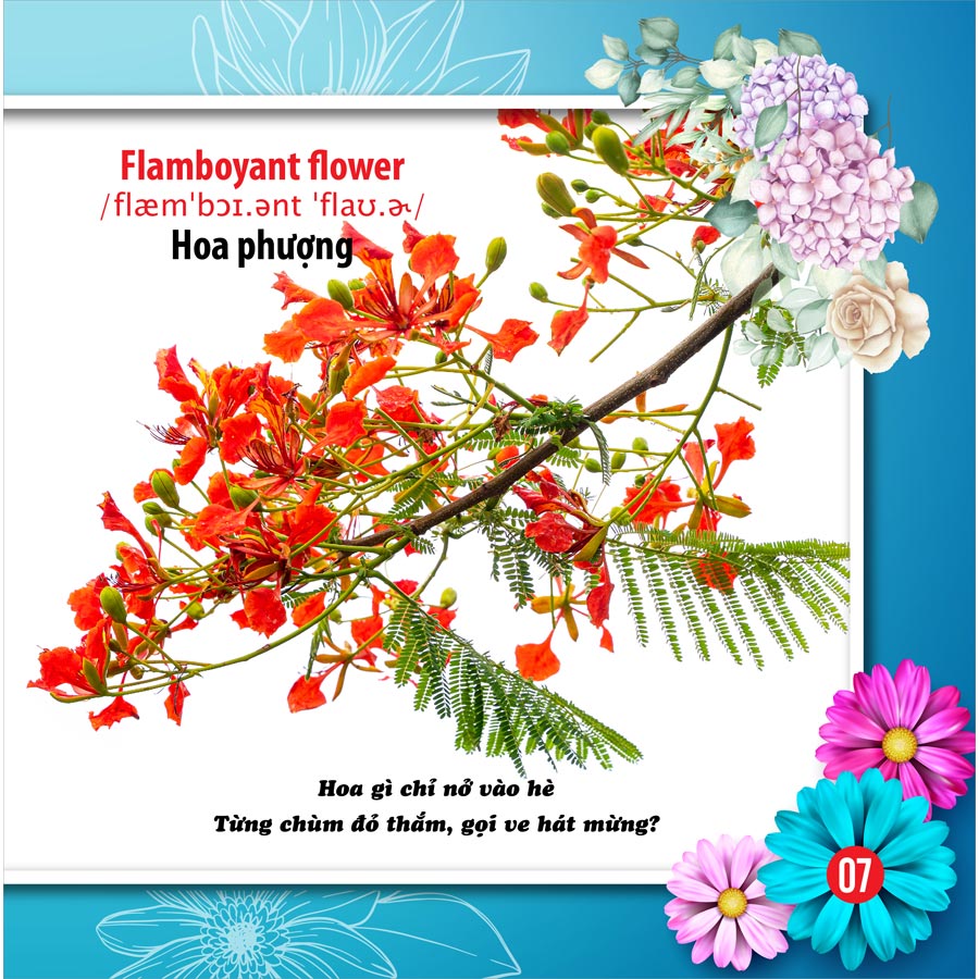 Song Ngữ Anh - Việt CBKPTGXQ - Hoa