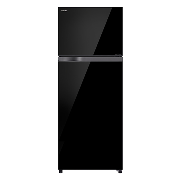 Tủ Lạnh TOSHIBA GR-AG41VPDZ 359L