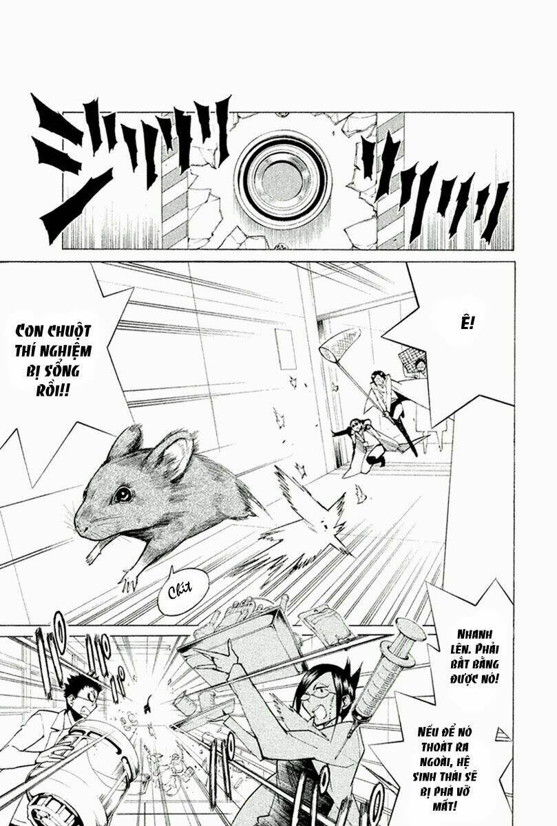 hell’s kitchen chapter 24 28