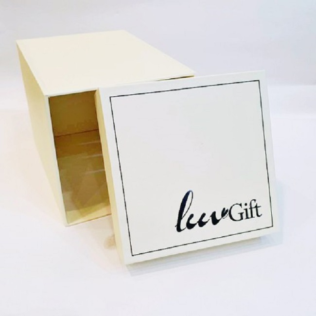 Hộp đựng quà LuvGift dáng đứng kèm túi