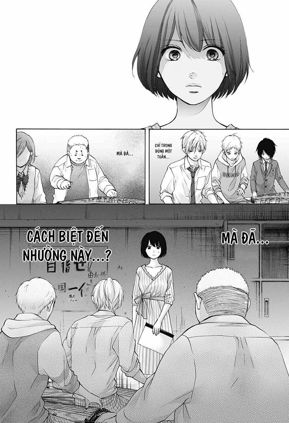 kono oto tomare! chapter 79 14