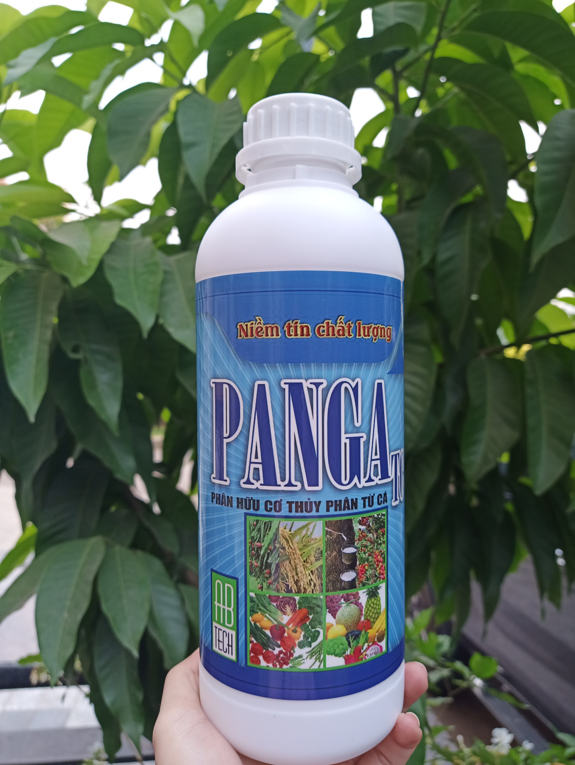 Phân bón đạm cá Panga TC cung cấp amino acids và khoáng chất cho cây, giúp bộ rễ khỏe, lá to, dày, trái ngọt