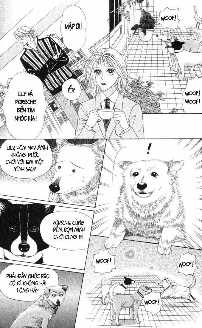 quán trà provence chapter 11 22