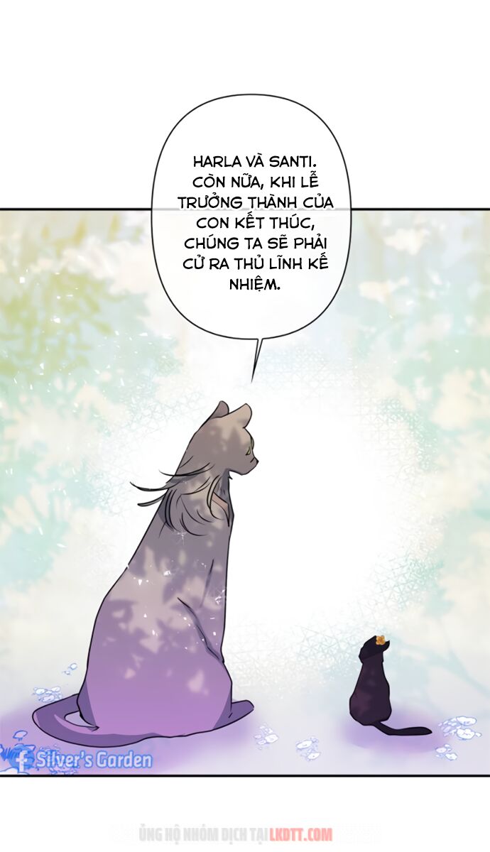tôi đang nuôi dưỡng một con quái thú chapter 17 14
