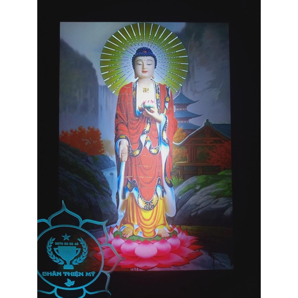 Tranh điện Phật A Di Đà_ADDT4