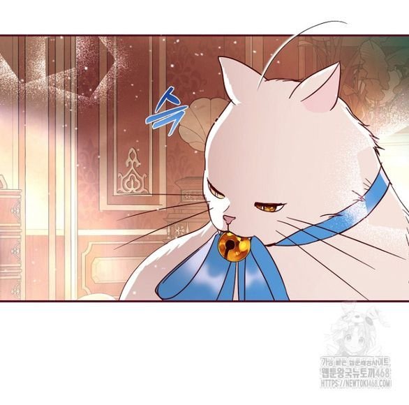 ngài công tước, tôi sẽ làm mọi thứ, trừ việc kết hôn! chapter 15.1 22