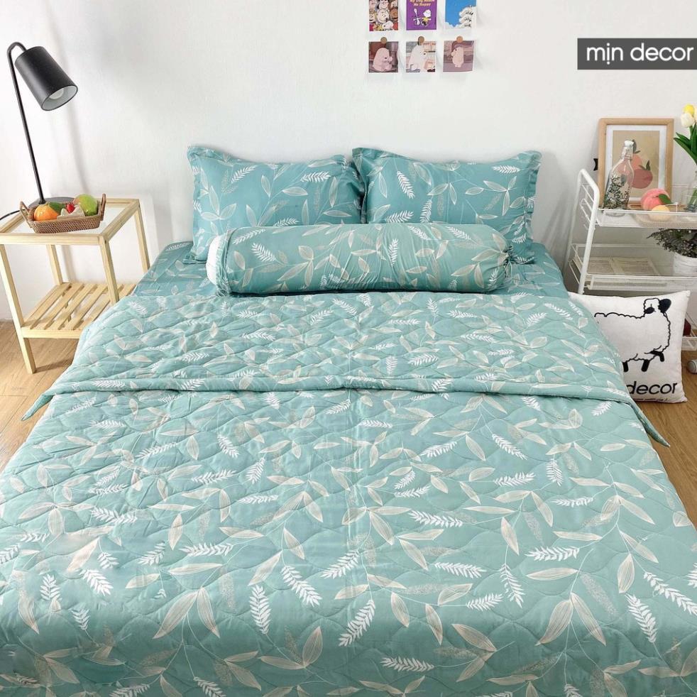 Bộ chăn ga gối cotton 3D kèm chăn trần bông hè mềm mịn bo chun miễn phí