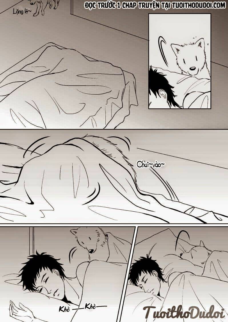 sự mê hoặc của sói chapter 9 16