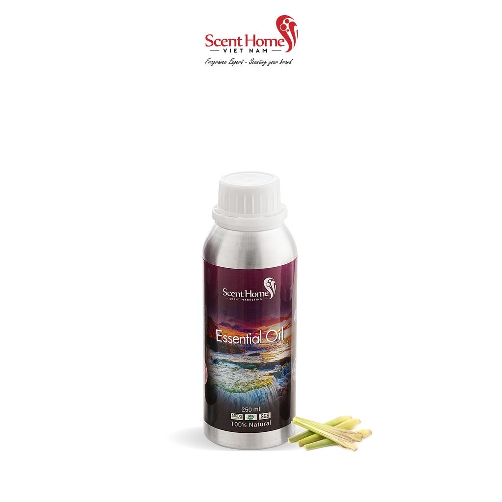 Tinh dầu Scent Homes - mùi hương