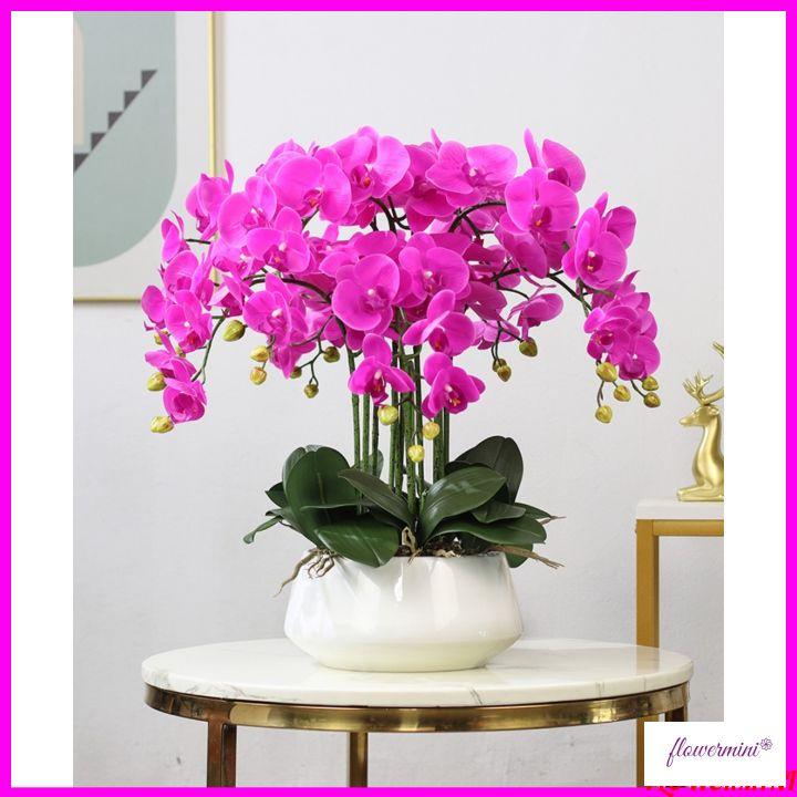 Chậu hoa lan hồ điệp cao su cao cấp cao 60cm trang trí phòng khách, làm quà khai trương sang trọng