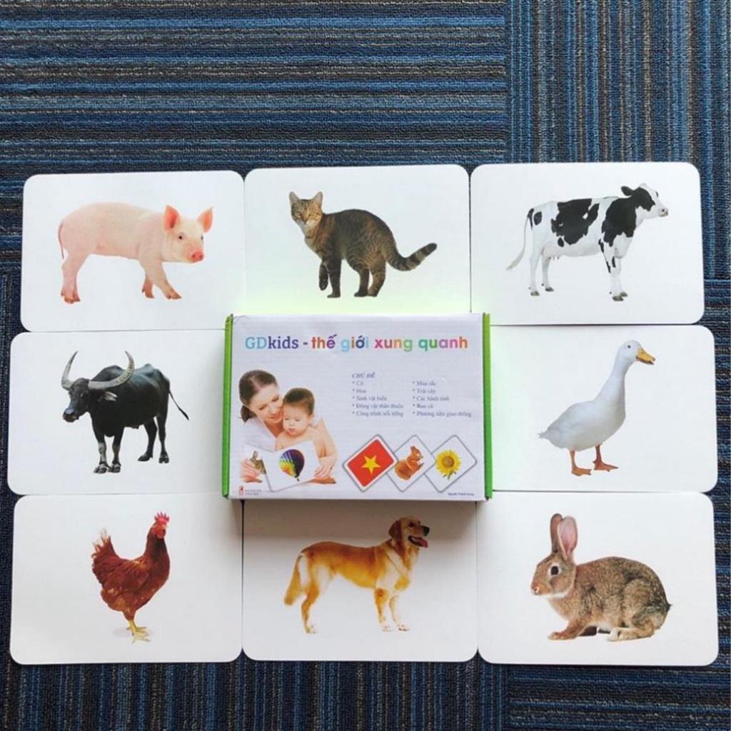 Bộ thẻ học thế giới xung quanh chuẩn flashcard cơ bản 100 thẻ Shop Bố Su