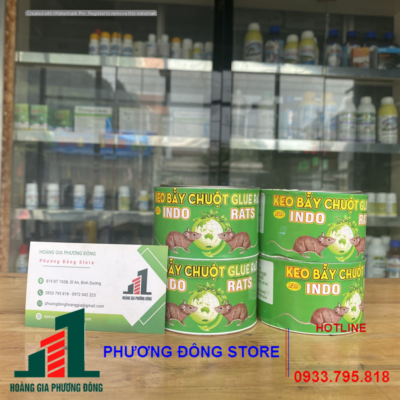 Keo dính chuột lon INDO -90g