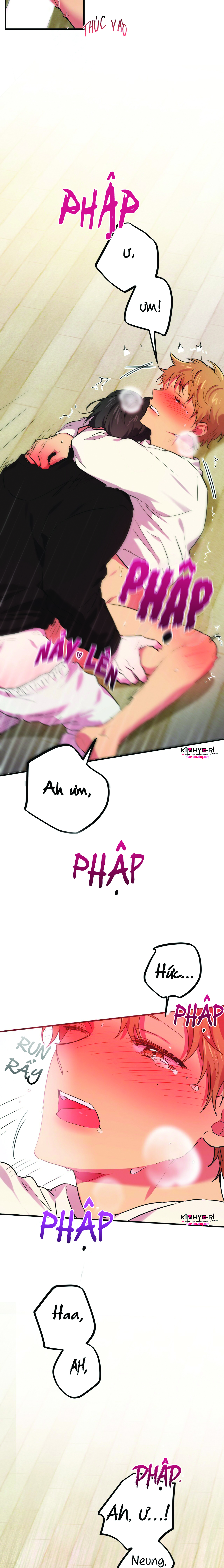 những chú thỏ của hapypy chapter 9 11