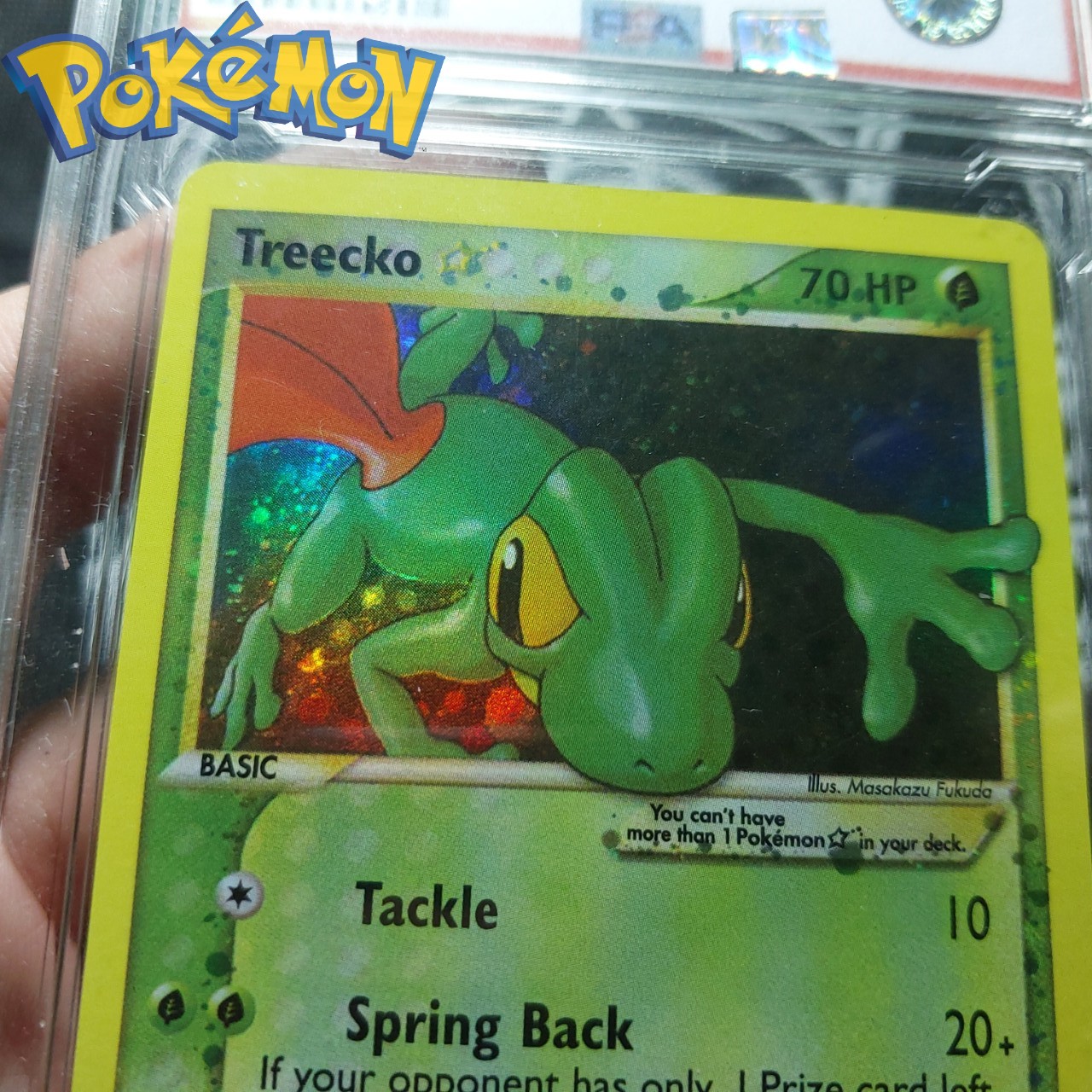 Bài Pokemon năm 2004 Treecko 109 109 Kỳ nhong 1459 d7 1 40