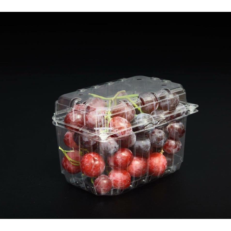 50 Hộp P1000B Đựng Trái Cây 1kg Như Cherry - Dâu - Kiwi - Táo Xanh - Mít