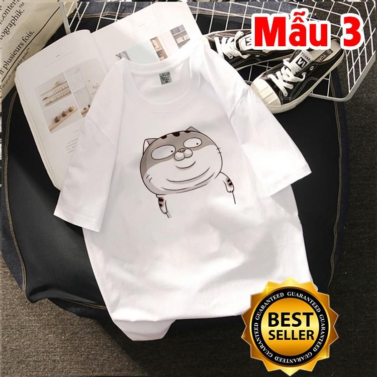 AlbumÁo Thun Unisex Mèo Ami Bụng Bự To Khổng Lồ Đẹp Giá Rẻ