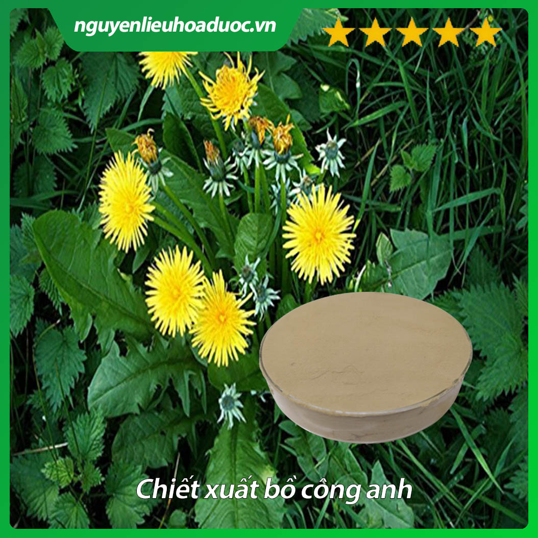 Cao khô bồ công anh - Biogreen 50g, 100g - Thanh nhiệt, giải độc, viêm tắc tia sữa