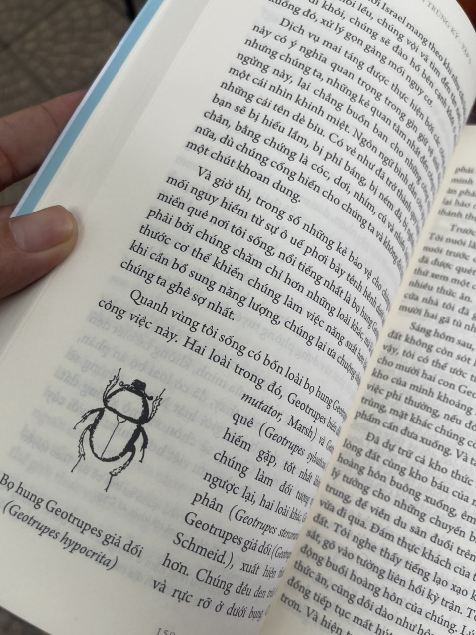 CÔN TRÙNG KÝ – Tập 5 - Jean-Henri Fabre - An Lạc Group dịch – Huy Hoàng Bookstore – bìa mềm