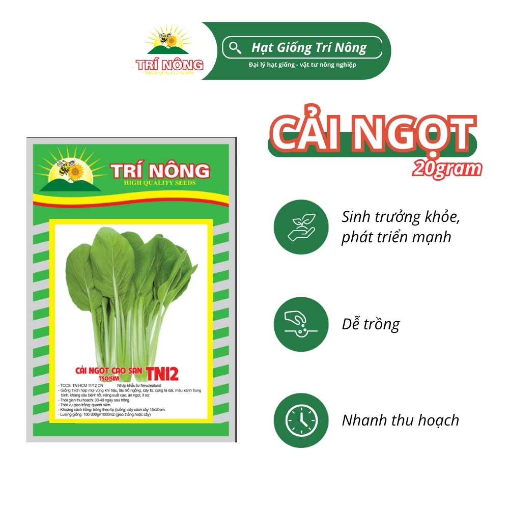Hạt Giống Cải Ngọt Trí Nông , TN12, Dễ Trồng, Dễ Chăm Sóc, Nhanh Thu Hoạch, Thời gian thu hoạch 30 ngày , Gói 20gram