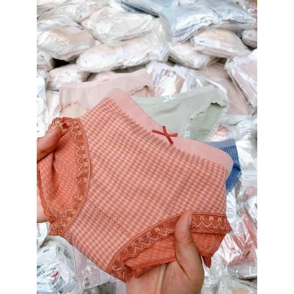 Sét 5c quần lót cotton kháng khuẩn cao cấp