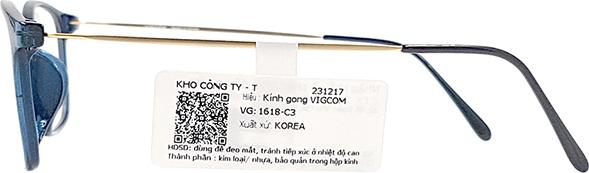 Gọng Kính Thời Trang Vigcom VG1618 C3 (52/19/140)
