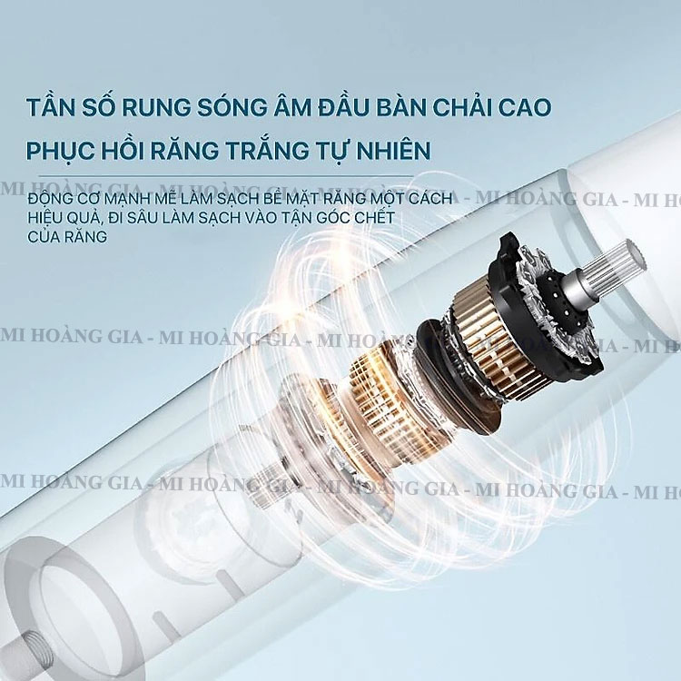 Bàn chải điện Xiaomi BOMIDI T501 - 3 chế độ Làm sạch ,Kháng nước IPX7 - Hàng nhập khẩu