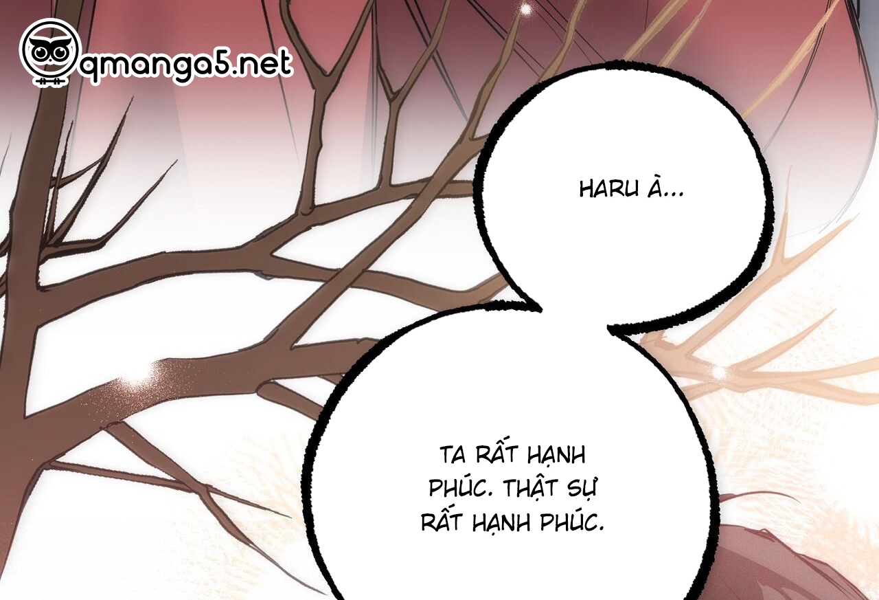 đàn thỏ của habibi chapter 64 294