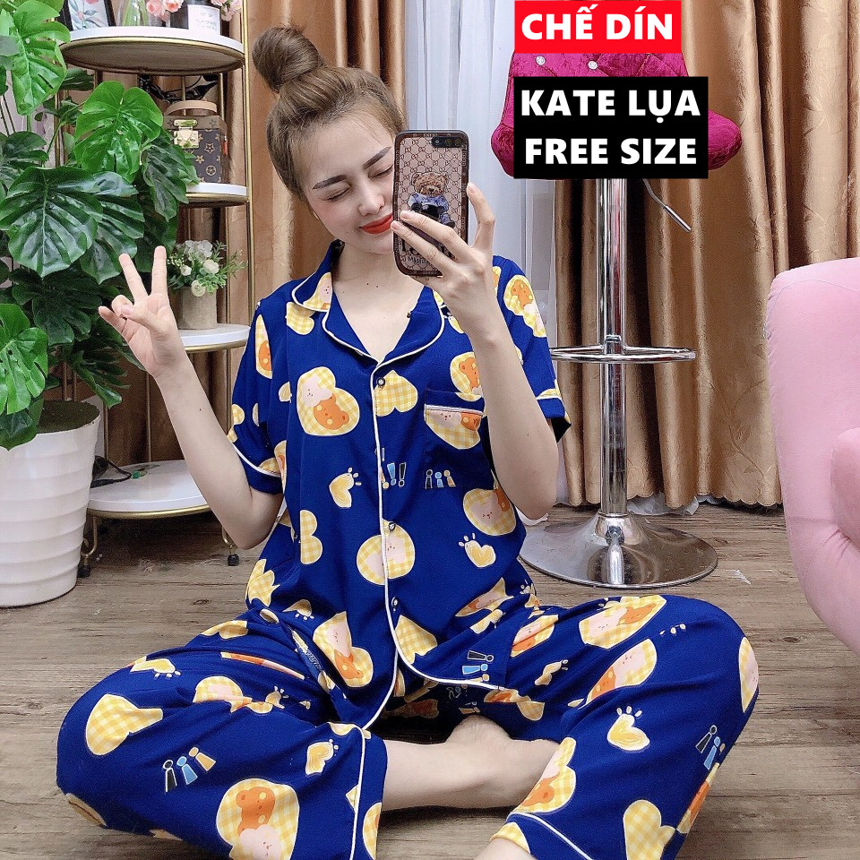 Đồ bộ nữ pijama mặc nhà tiểu thư big size dưới 65kg tay ngắn quần dài vải lụa hàn mềm mịn nhiều màu dễ thương