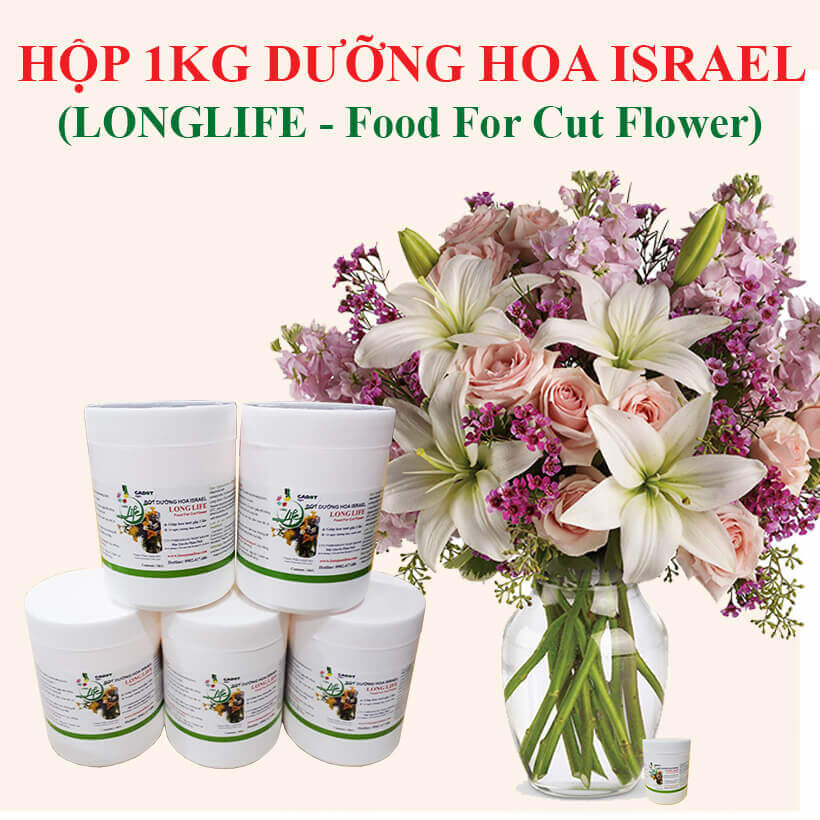 Shop Hoa Bảo Quản Hoa Cắm Lẵng, Hoa Cắm Xốp lâu tàn và hạn chế thay hoa định kỳ bằng Bột Dinh Dưỡng Hoa nhập khẩu Israel hiệu Longlife SG Của Israel