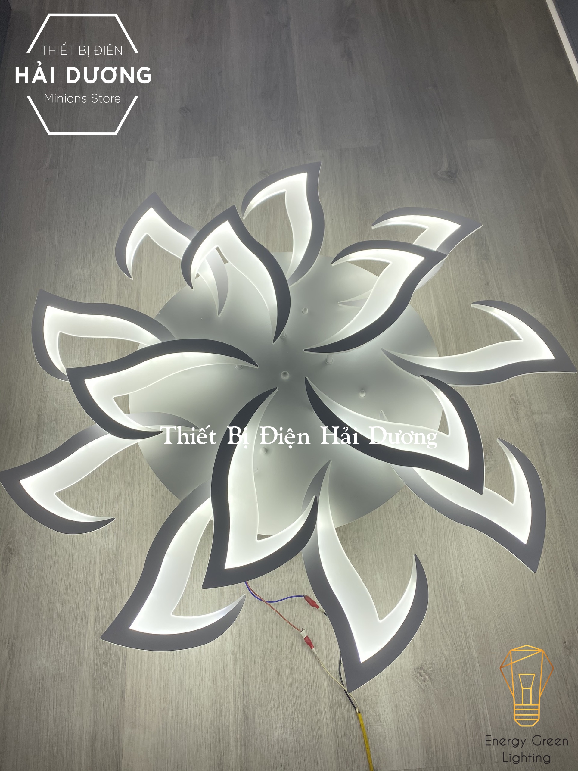 Đèn LED Ốp Trần Hiện Đại Decor 14 Tay NT038 - 3 Chế Độ Ánh Sáng -Tăng Giảm Ánh Sáng - Điều Khiển Từ Xa - Kết Nối Điện Thoại - Có Video