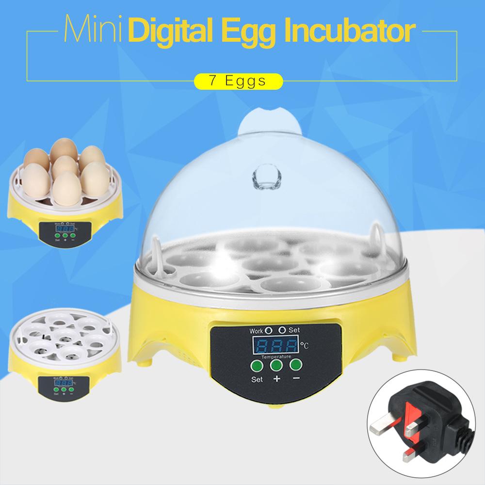 Máy ấp trứng kỹ thuật số mini