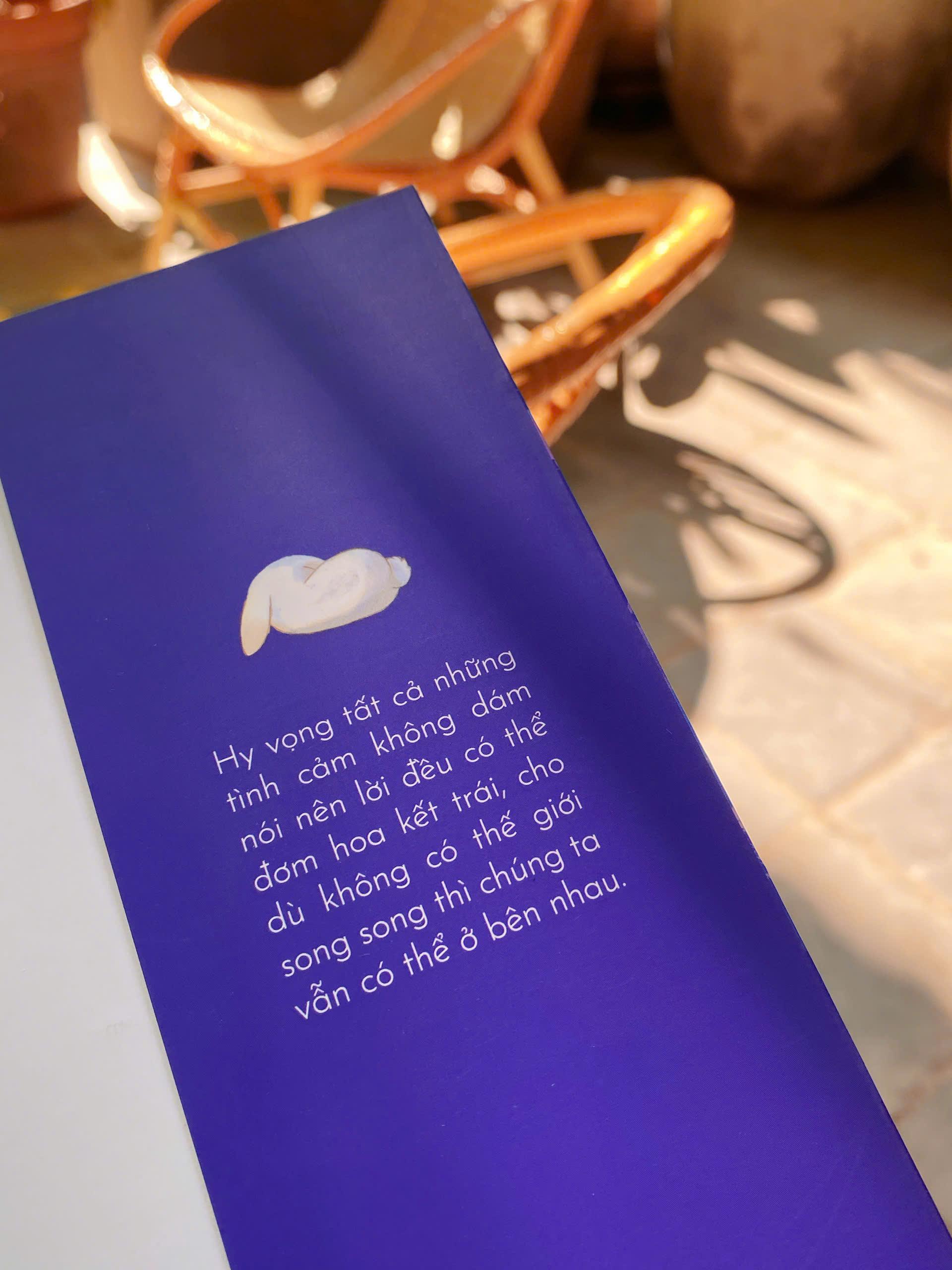 Sách - Bộ Sách Đuổi Theo Mùa Hạ - Tập 1 + Tập 2 (Bộ 2 Tập) (Tái Bản 2025)