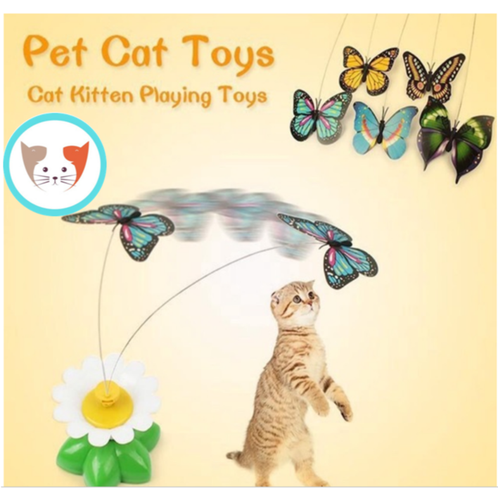 BƯỚM QUAY VÒNG SẮC MÀU- Đồ chơi cho mèo, thú cưng (không kèm pin)