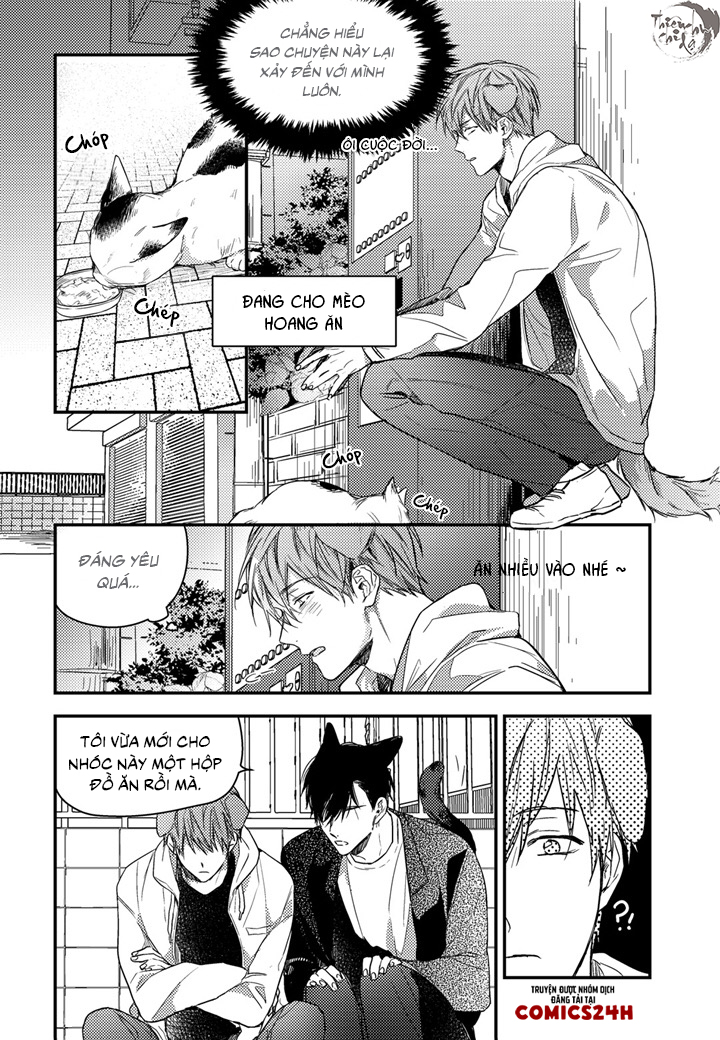 phản xạ có điều kiện chapter 14 5