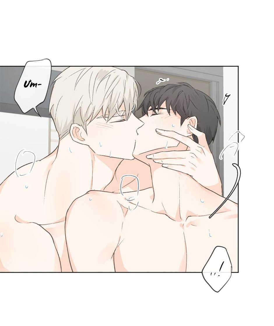 yêu hay không yêu chapter 19 51