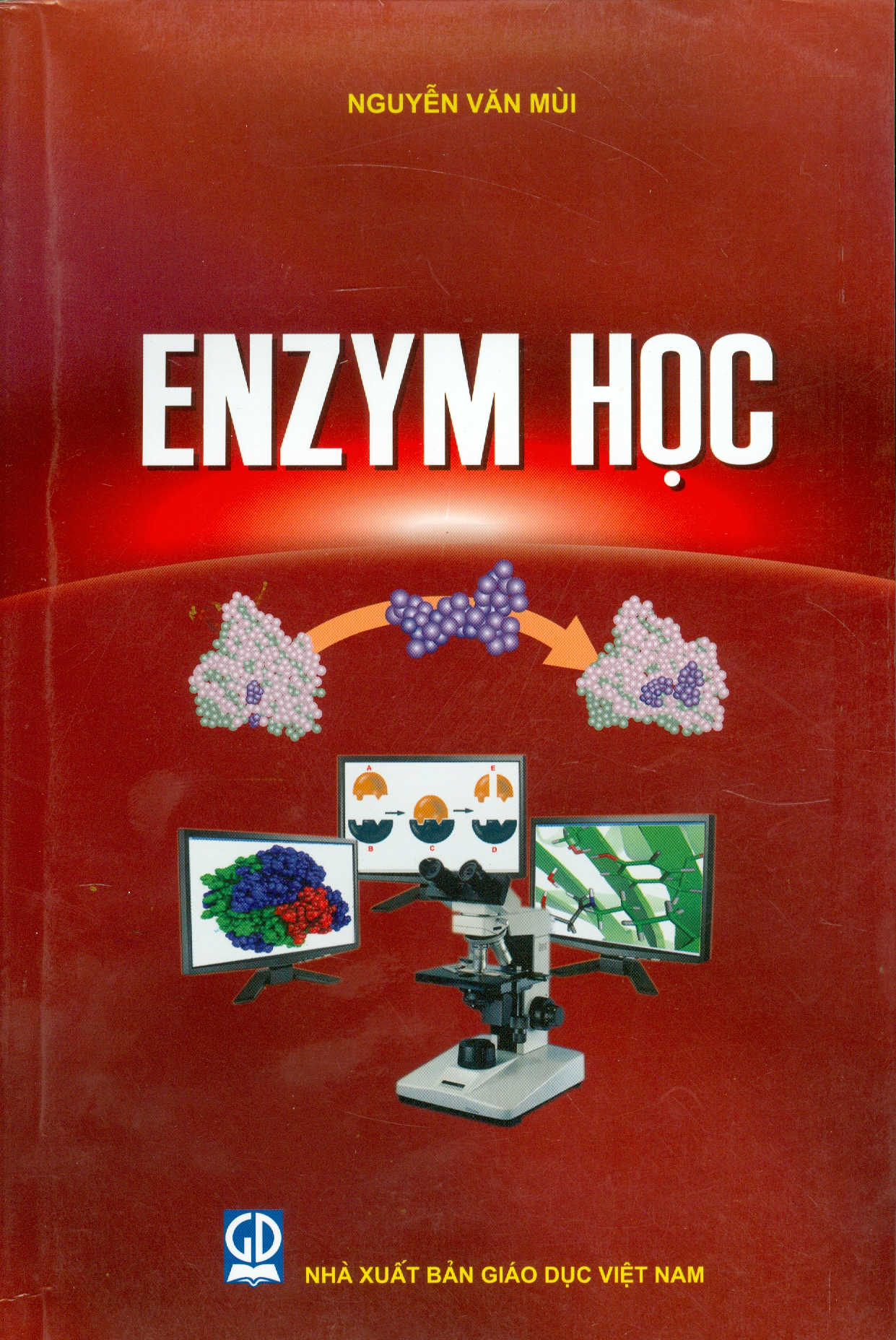 Enzyme Học