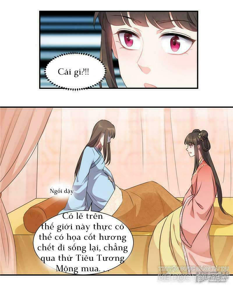 quả nhân có bệnh tên là tương tư chapter 48 12