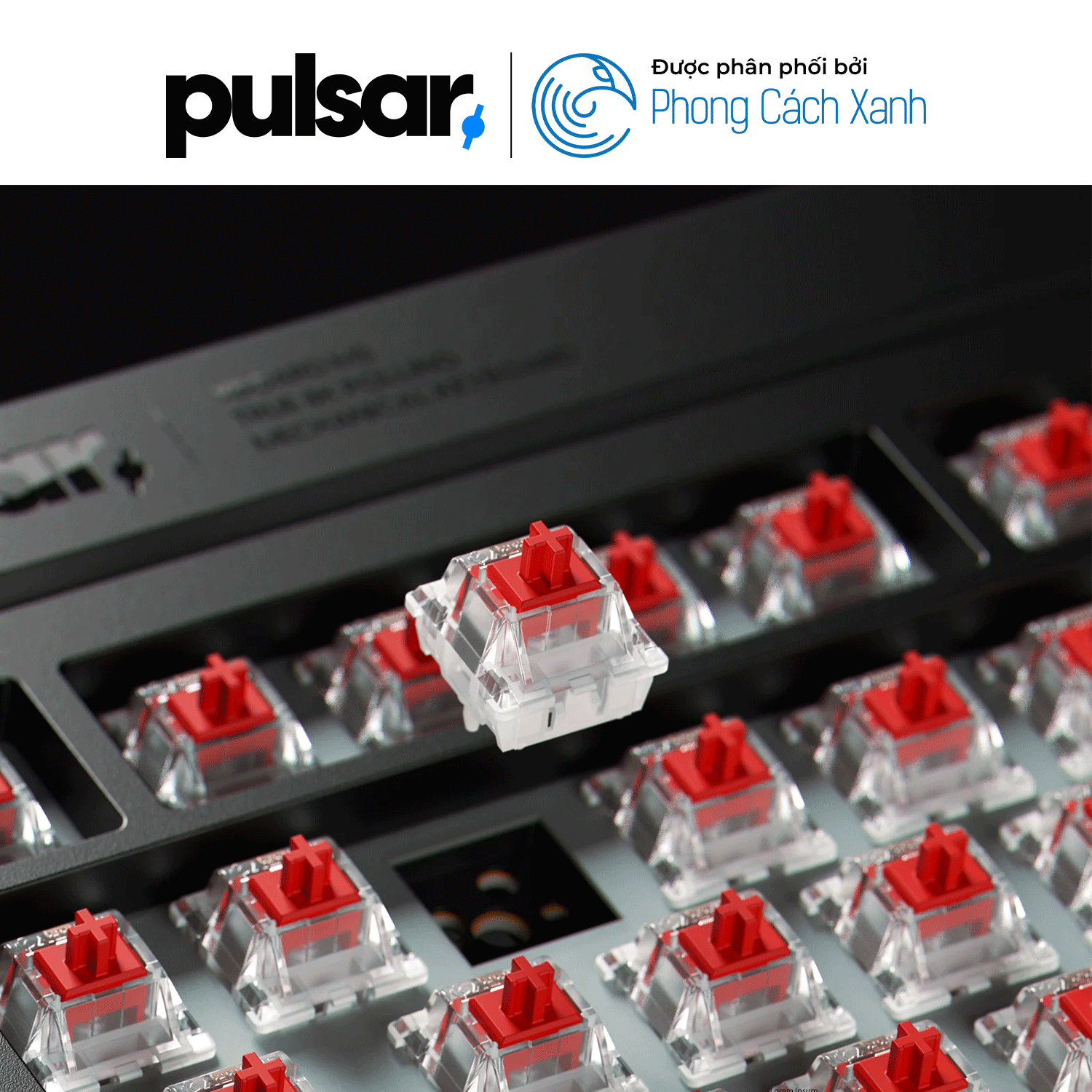 Bàn phím cơ Pulsar Xboard MS TKL ANSI - 8K Polling Rate - Hàng Chính Hãng